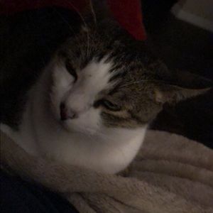 Meet your Posher, Jasmine